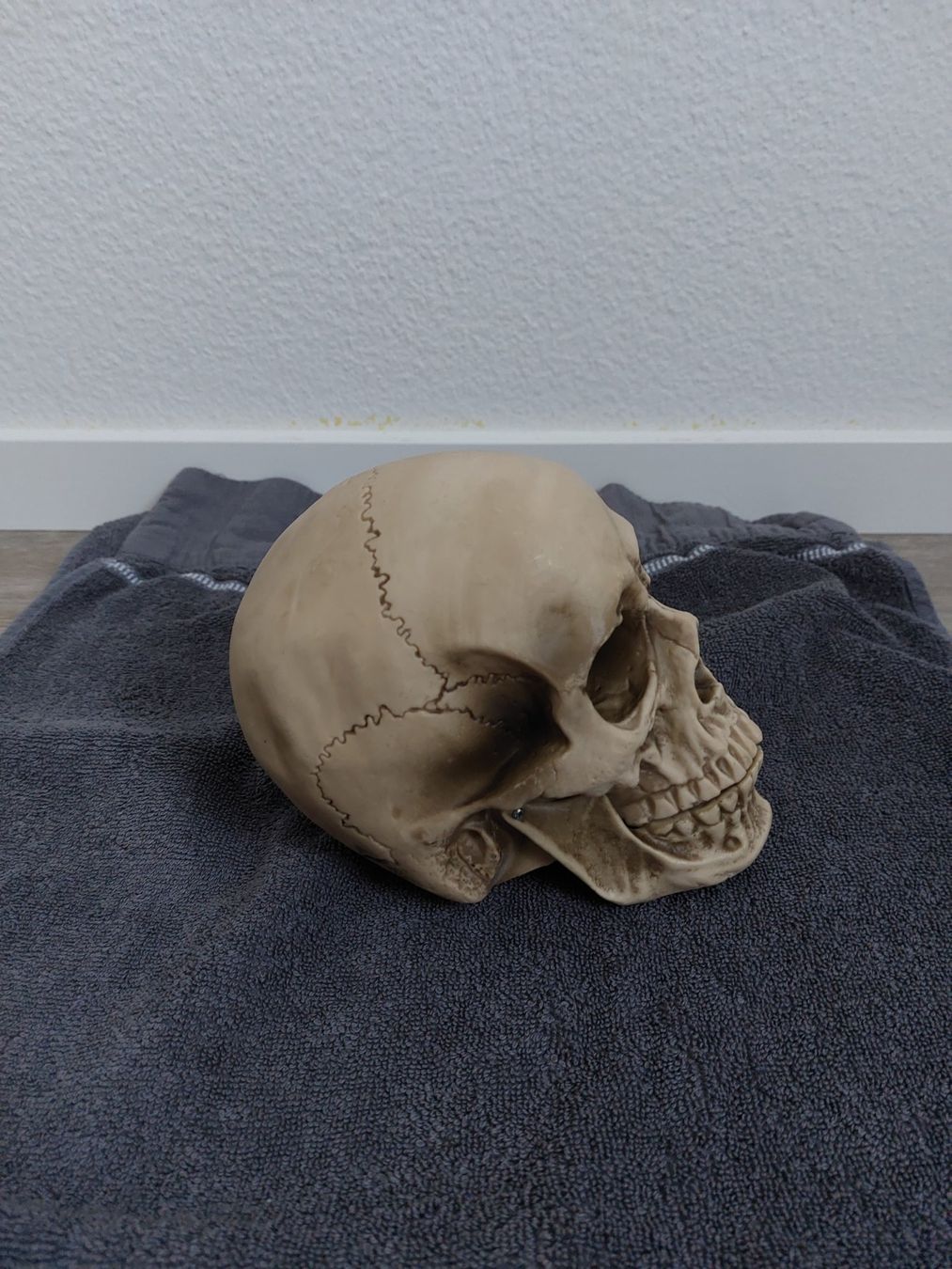 Toutes les décorations: Plastikschädel Halloweendeko – Neuf (Voir description) à Wangs par Manda30 1