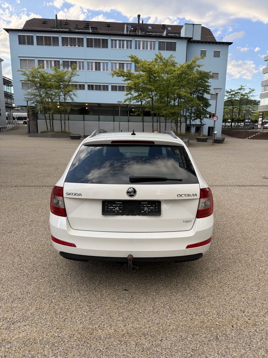 Automobili: Skoda Octavia 4x4 frisch MFK – Usato da Cham venduto da ABhome10 6
