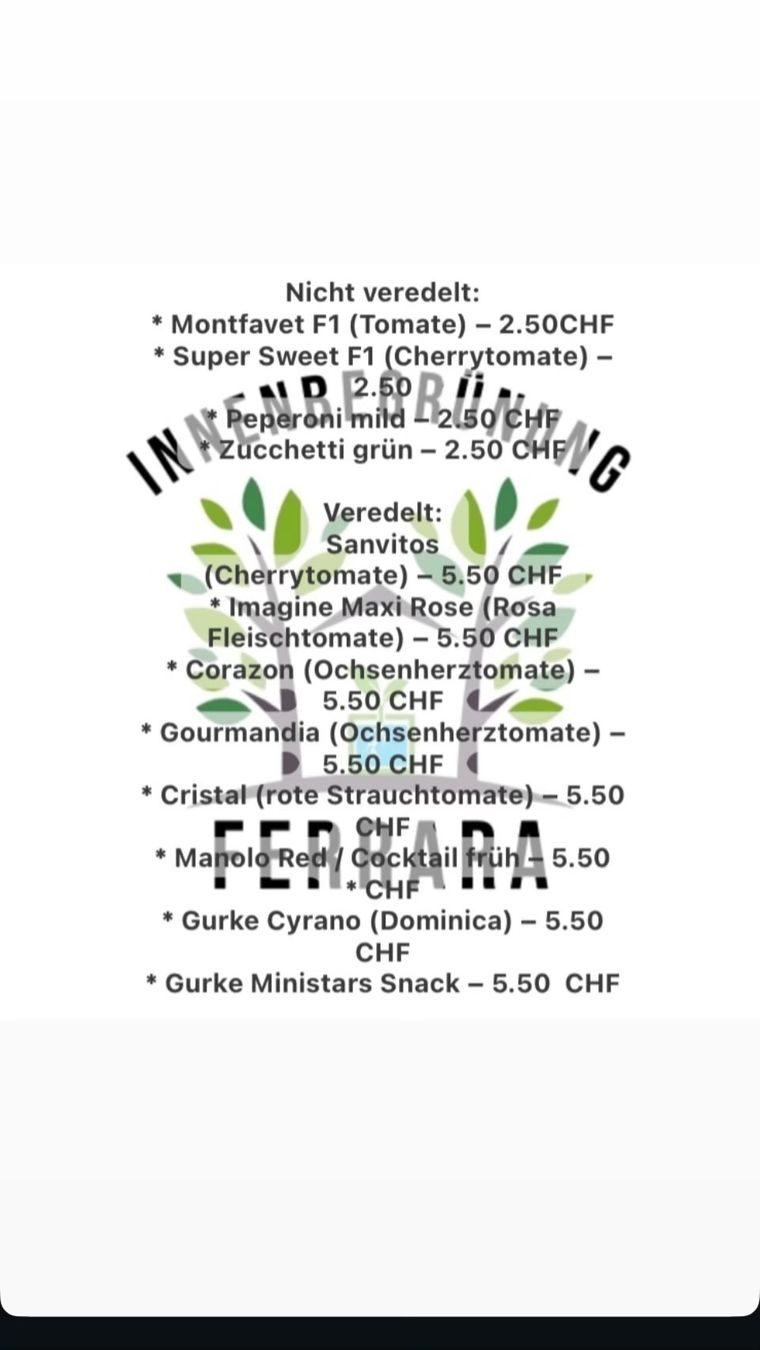Piante & sementi: Gemüse Setzling – Usato da Staufen venduto da sim_c79b