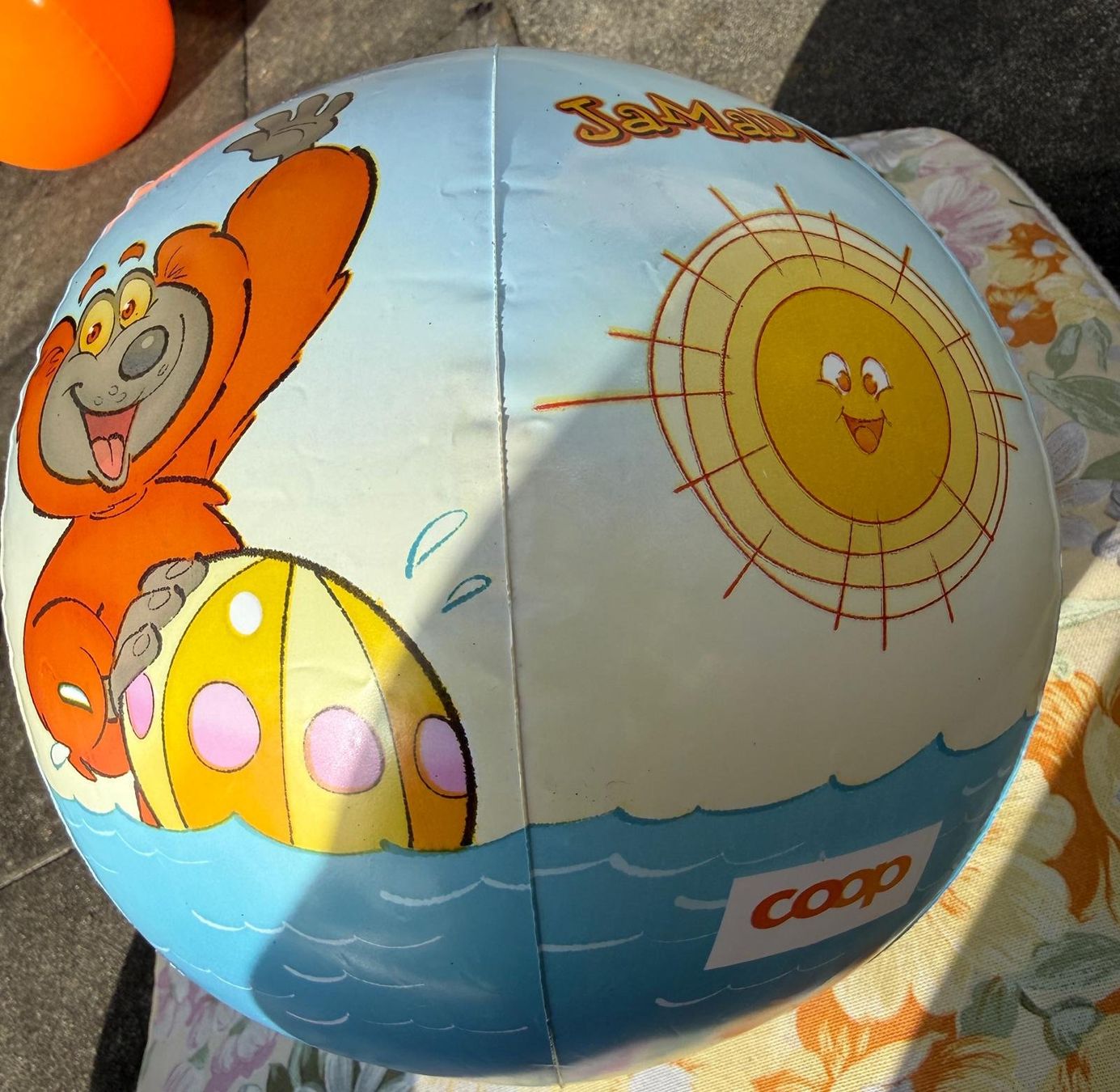 Schwimmringe: Wasserspielball – Gebraucht aus Flawil von Stella_3 1