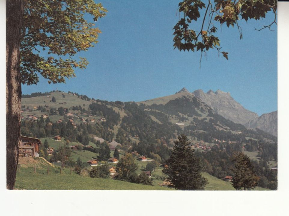 Cartoline postali: La Barboleusaz 1973 – Usato da Bürglen TG venduto da StampGraf