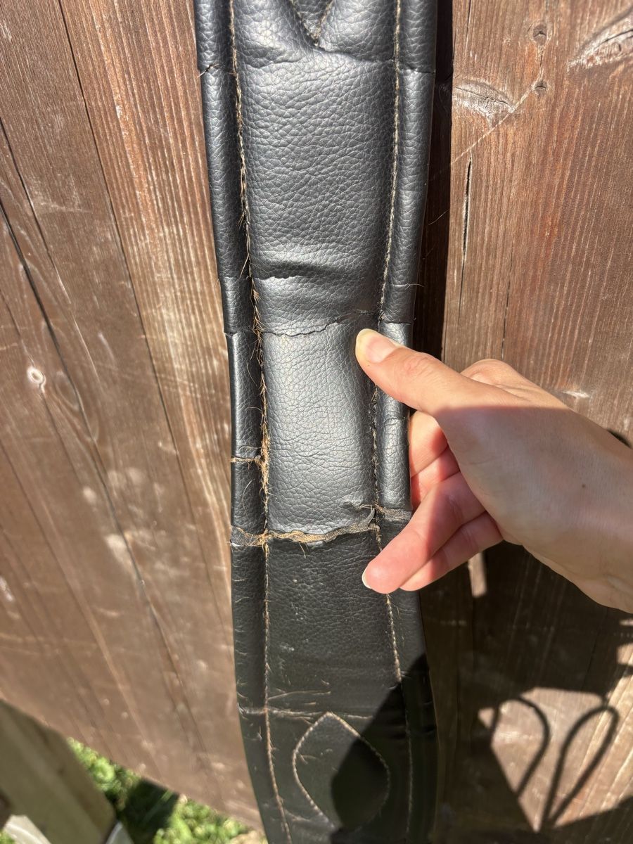 Selle & Accessori: Gurt Gurtzeug Pferd Leder Schwarz Gebraucht – Usato da Escholzmatt venduto da Princess112 1