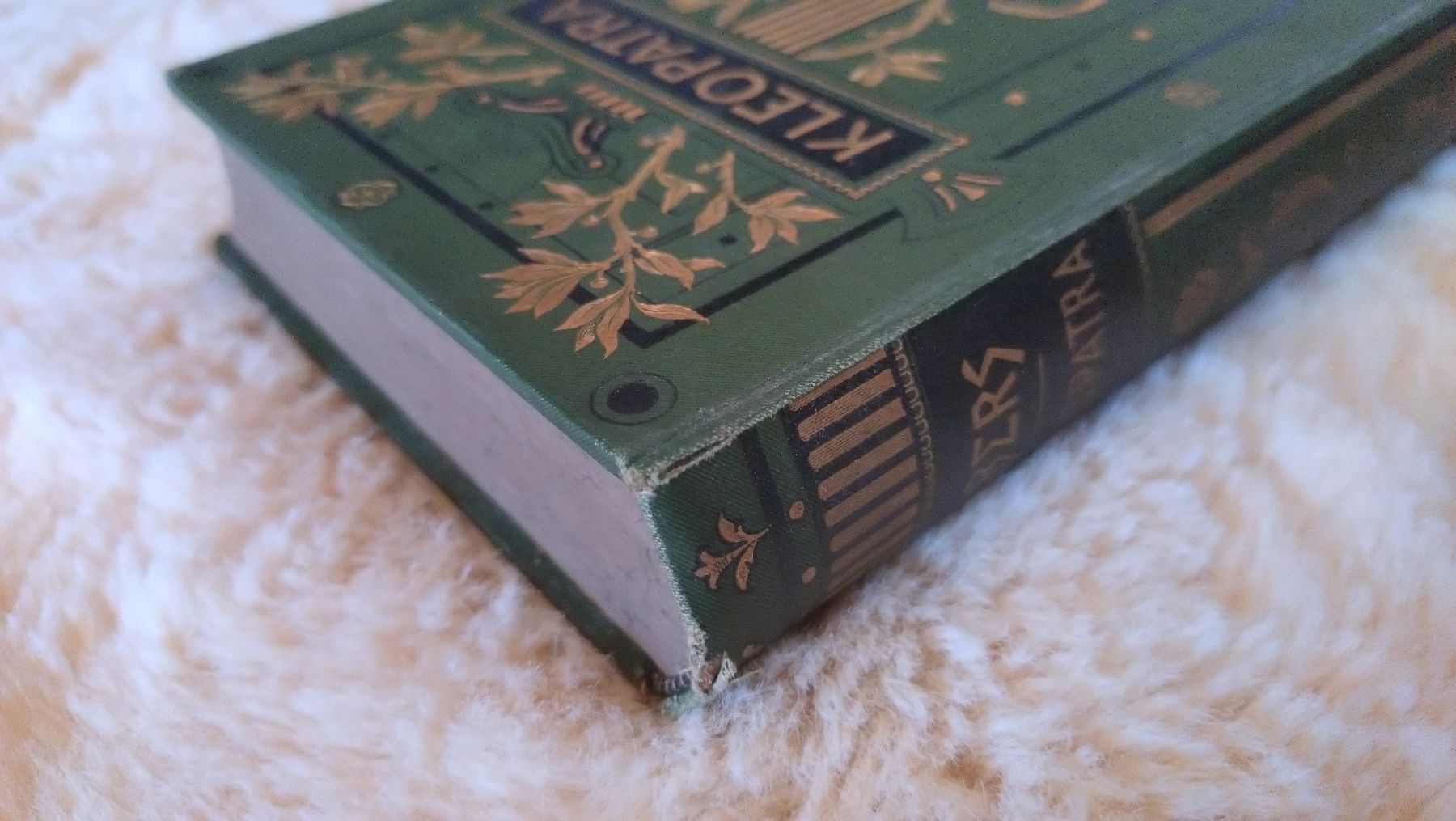 Bücher: Livre Ancien "Kleopatra" 1894, Ebers – Gebraucht aus Farvagny-le-Grand von LaCaverne 2