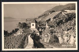 Twann, Blick von Weg auf Weinreben, Kirc