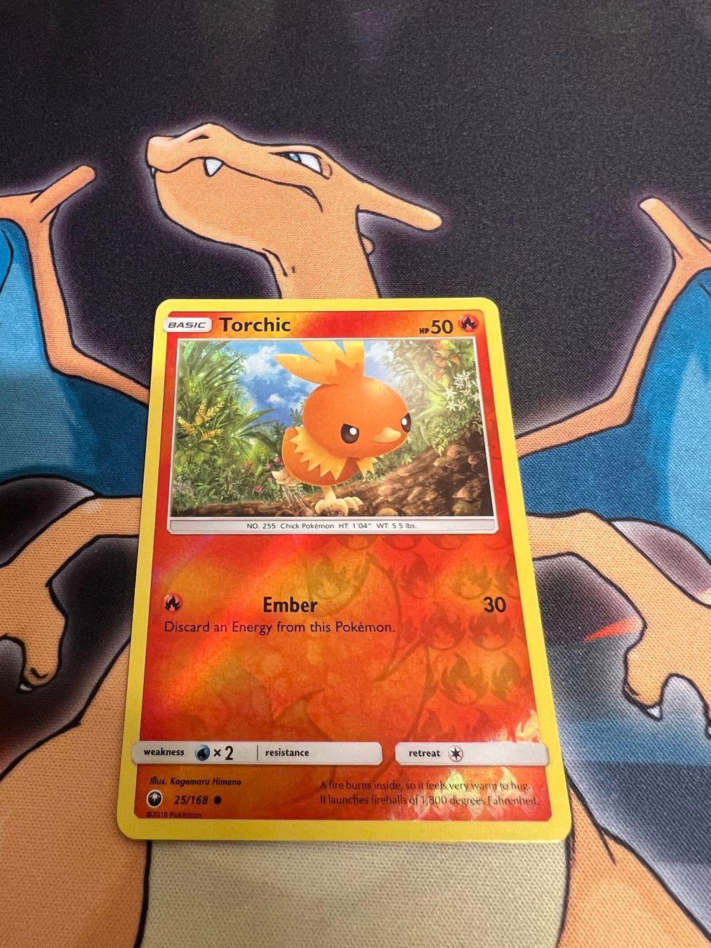 Pokémon Carte collezionabili: Torchic (CES 25) - Reverse Holo - Celestial Storm – Nuovo (secondo la descrizione) da Bülach venduto da Pfrenzel