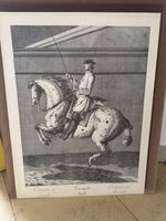 Gravure ancienne homme sur cheval par E. Ridinger circa 1750