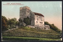 AK Habsburg, Schloss Habsburg
