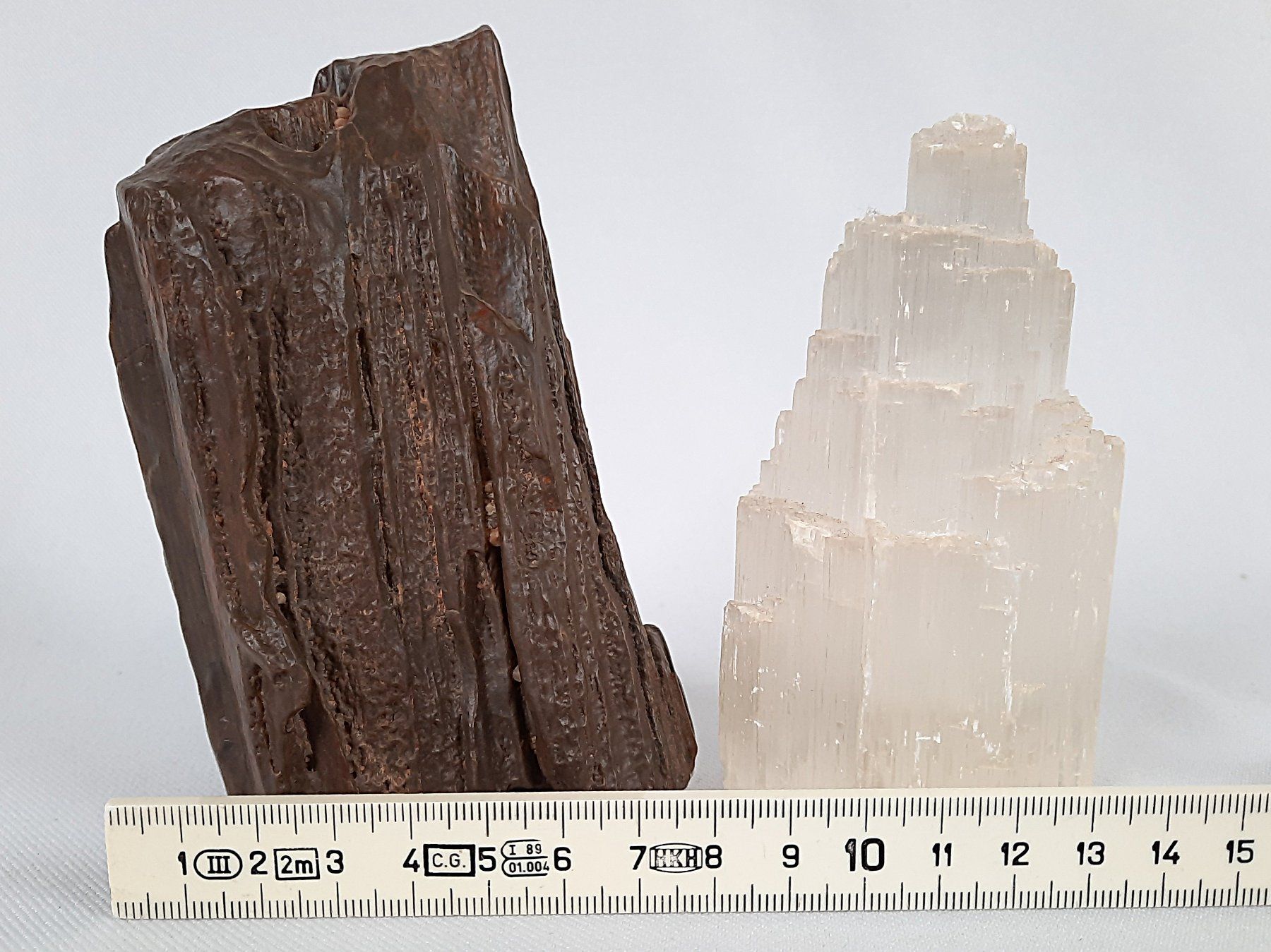 Minerali & Pietre curative: Fossiles Holz und Selenit-Turm – Usato da Beinwil am See venduto da Restwert_Beinwil 9