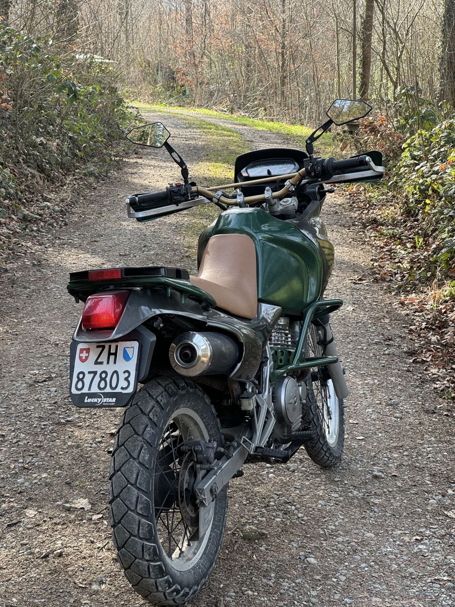 Honda Enduro: Honda NX 650 Dominator – Usato da Zürich venduto da arr_rj6q 3
