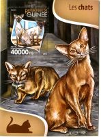Block "Katzen". Guinea