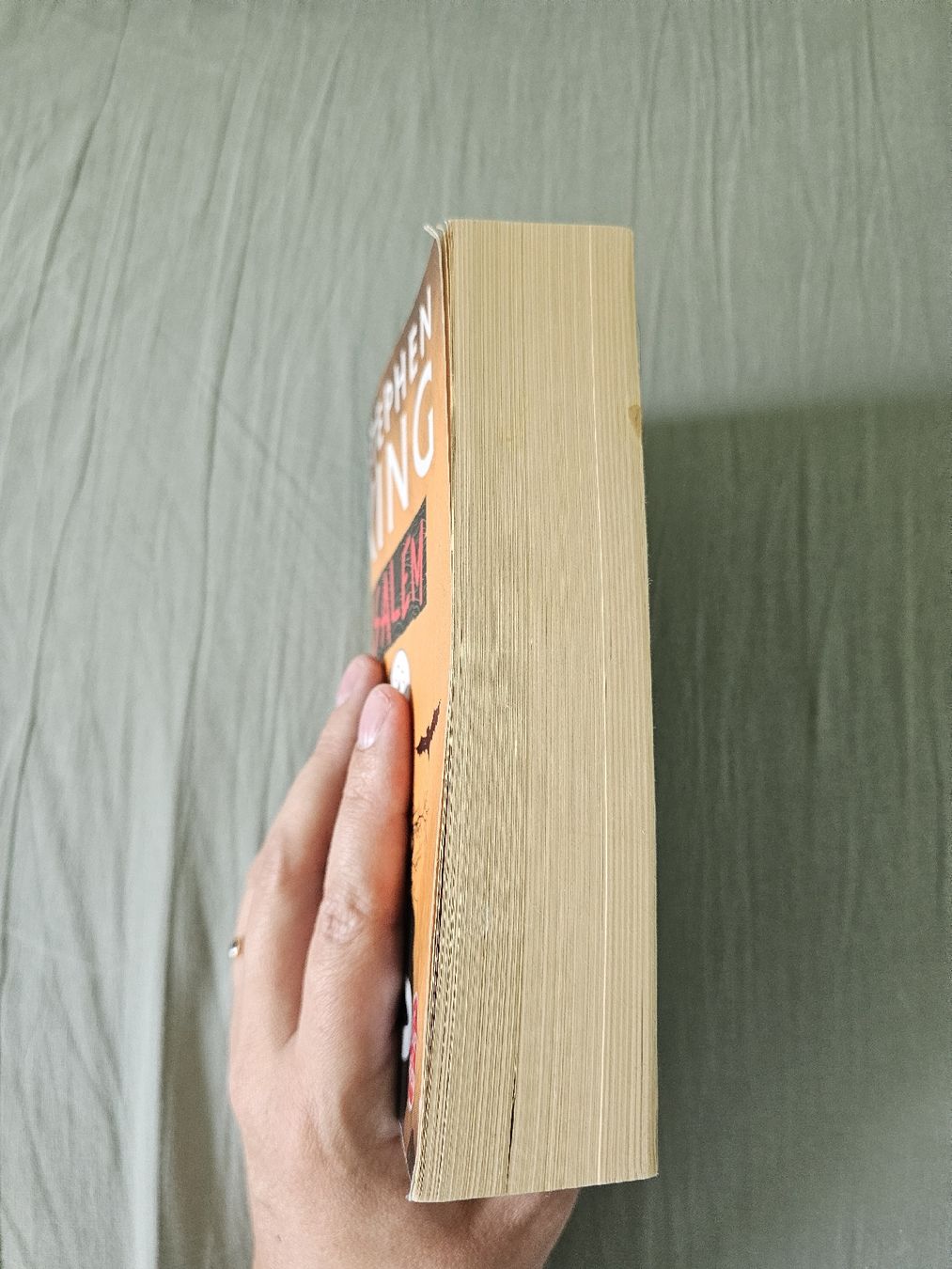 Libri: Salem de Stephen King – Usato da Forel (Lavaux) venduto da Clelia94 1