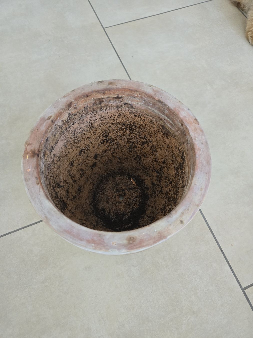Pots de fleurs: Tontopf – D'occasion à Rickenbach b. Wil par Kth_v8 1