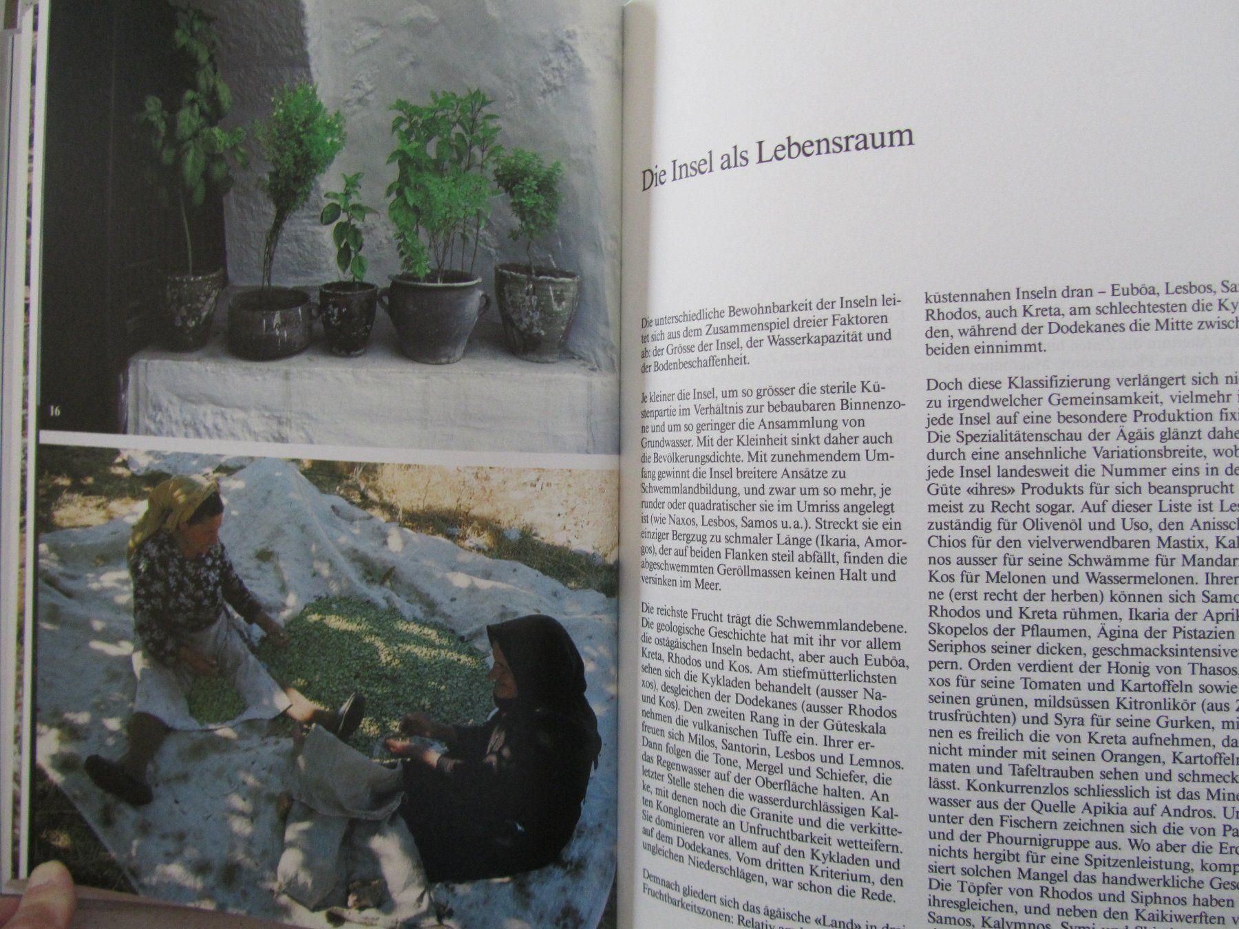 Libri: Griechische Inseln - Silva Buch von 1986 – Usato da Weiningen ZH venduto da dietsch57 4