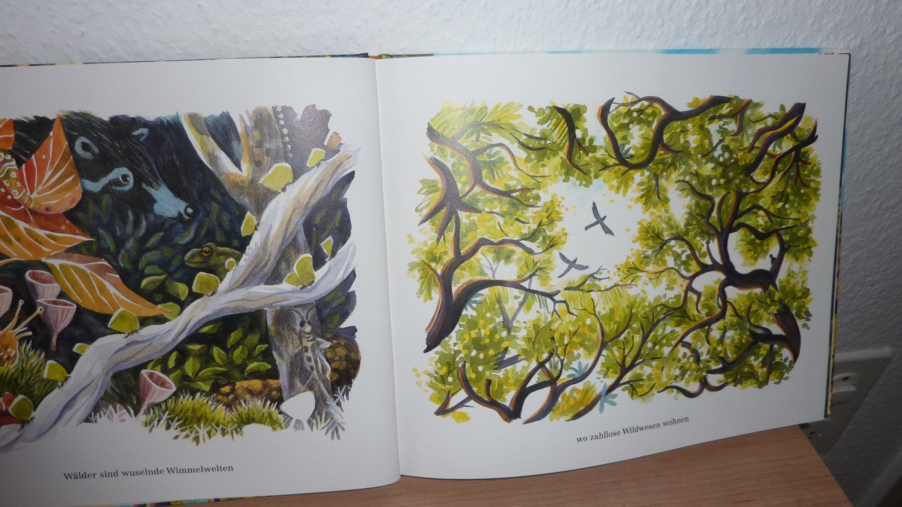Libri: fast neues kinderbuch – Nuovo (secondo la descrizione) da Füllinsdorf venduto da pmarkus 2