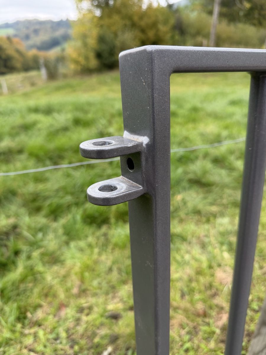 Porte: Gartentor – Usato da Plasselb venduto da MatthD 2