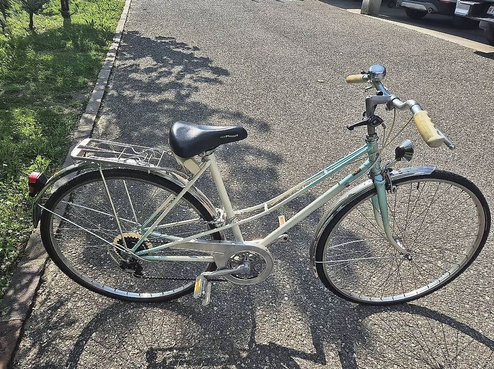 City Bike Bici Da CittÃ Vintage Bicicletta Da Città In Acciaio