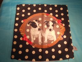 Kissenbezug, Jack Russel Terrier, Reissverschluss