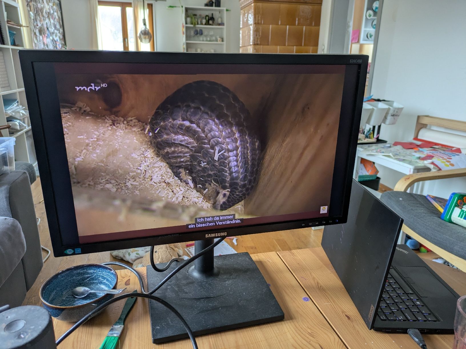 Samsung Monitor: Samsung S24C450 Bildschirm – Usato da Bischofszell venduto da mizu19