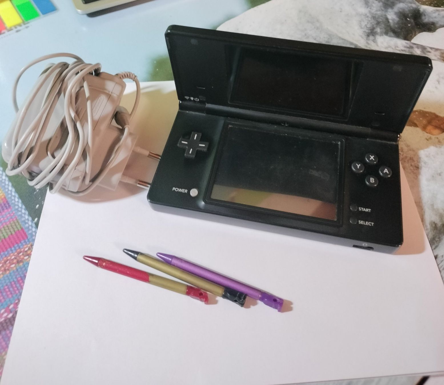 Nintendo Console: Nintendo DS con custodia – Usato da Capolago venduto da sco_7ywt