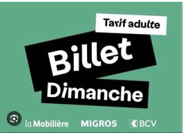 2x billets pour le Paléo festival journée du dimanche