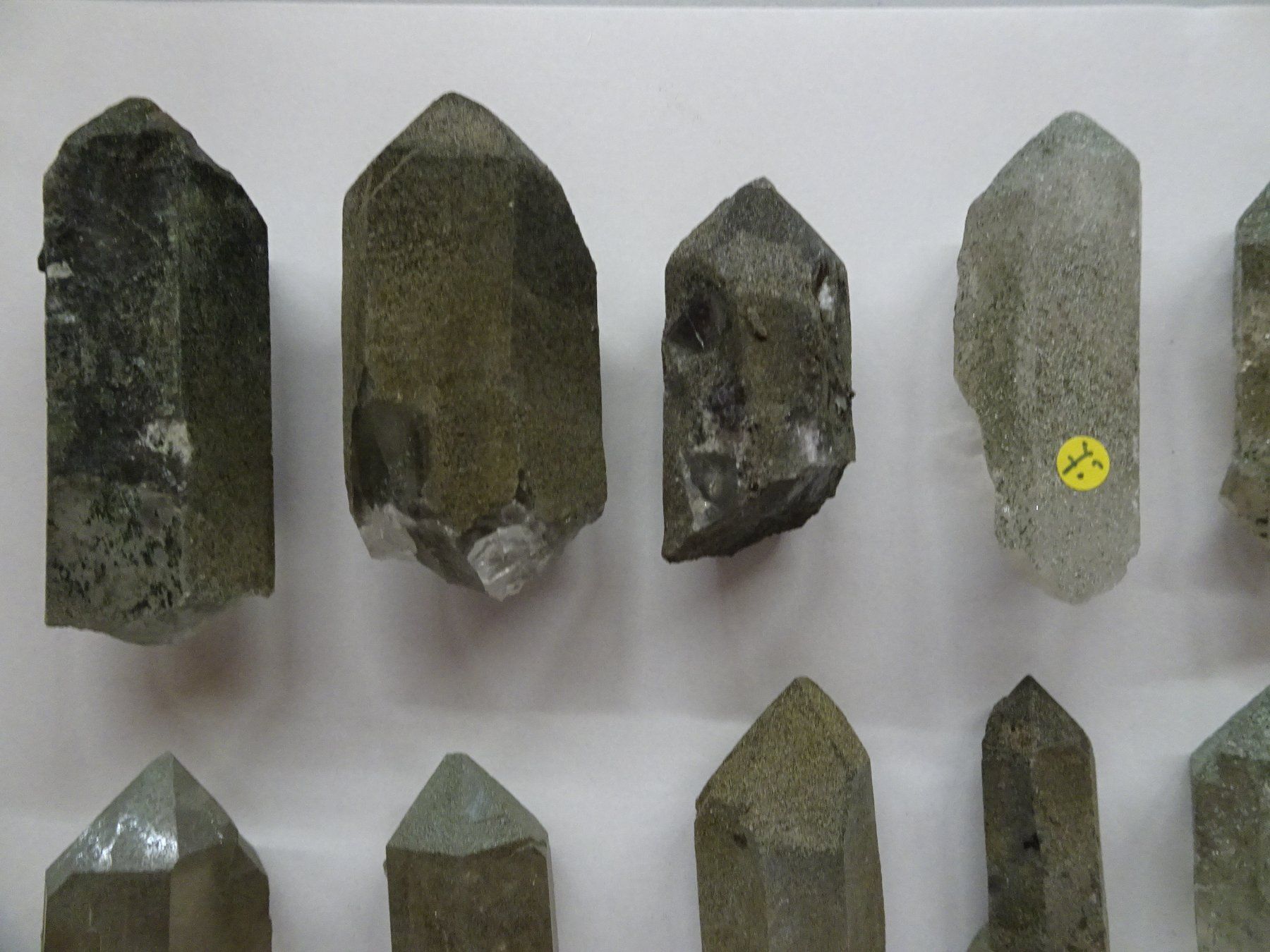 Minerali & Pietre curative: 23 Rauchquarze mit Clorit  Val Nalps – Nuovo (secondo la descrizione) da martina venduto da Tignuppa 2