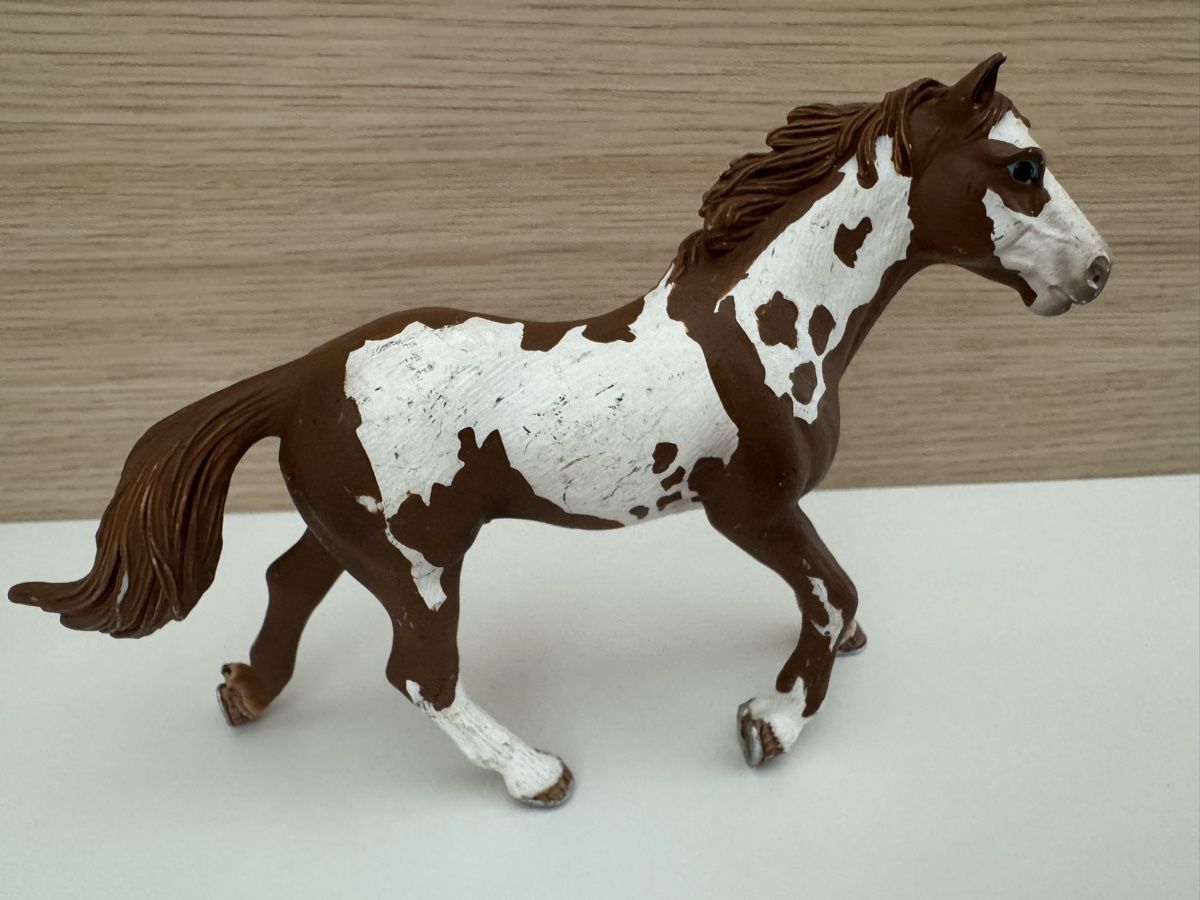 Schleich Statuette: Schleich Pinto Hengst 13616 Pferd – Usato da Sursee venduto da giu_205