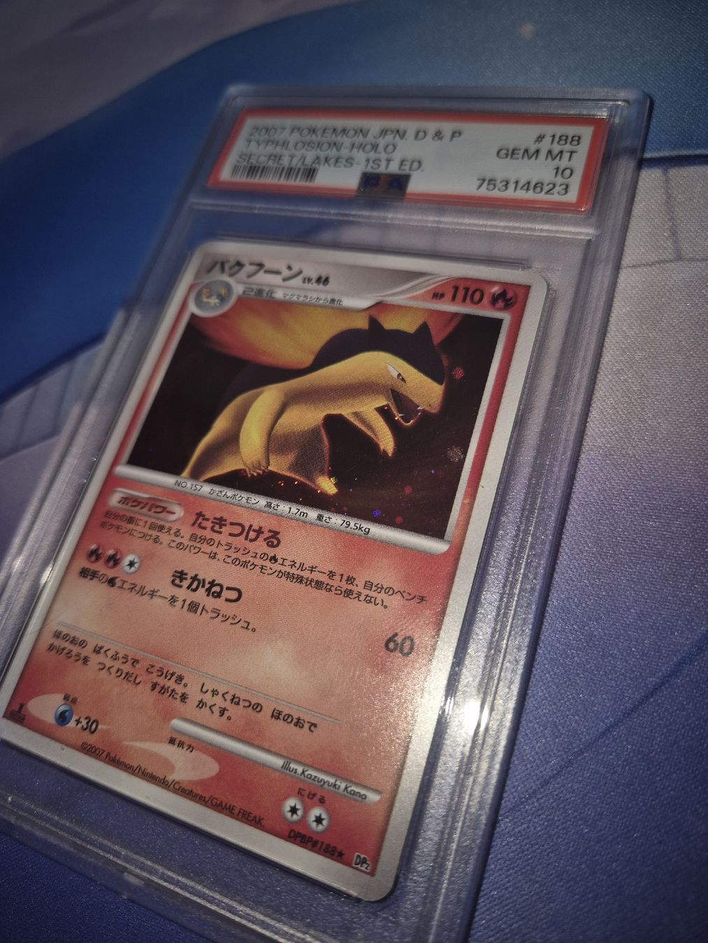 Cartoline: Typhlosion Holo 188 | PSA 10 – Nuovo (secondo la descrizione) da Künten venduto da An44As26 4