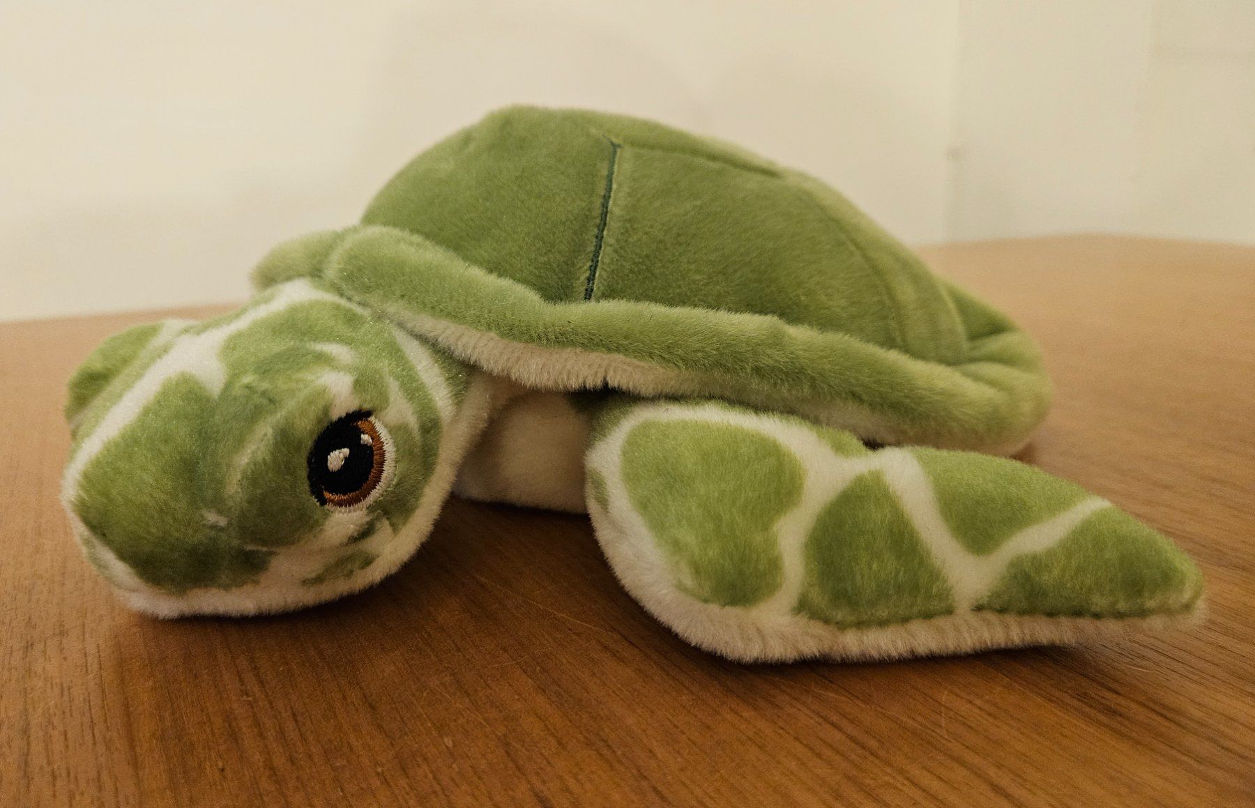 Spielzeuge: Schildkröte Plüschtier 25cm – Gebraucht aus Chur von Brigma02