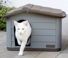 Katzenhaus Paola Eco 60x51x41cm Kleintierhaus (auch Hunde)
