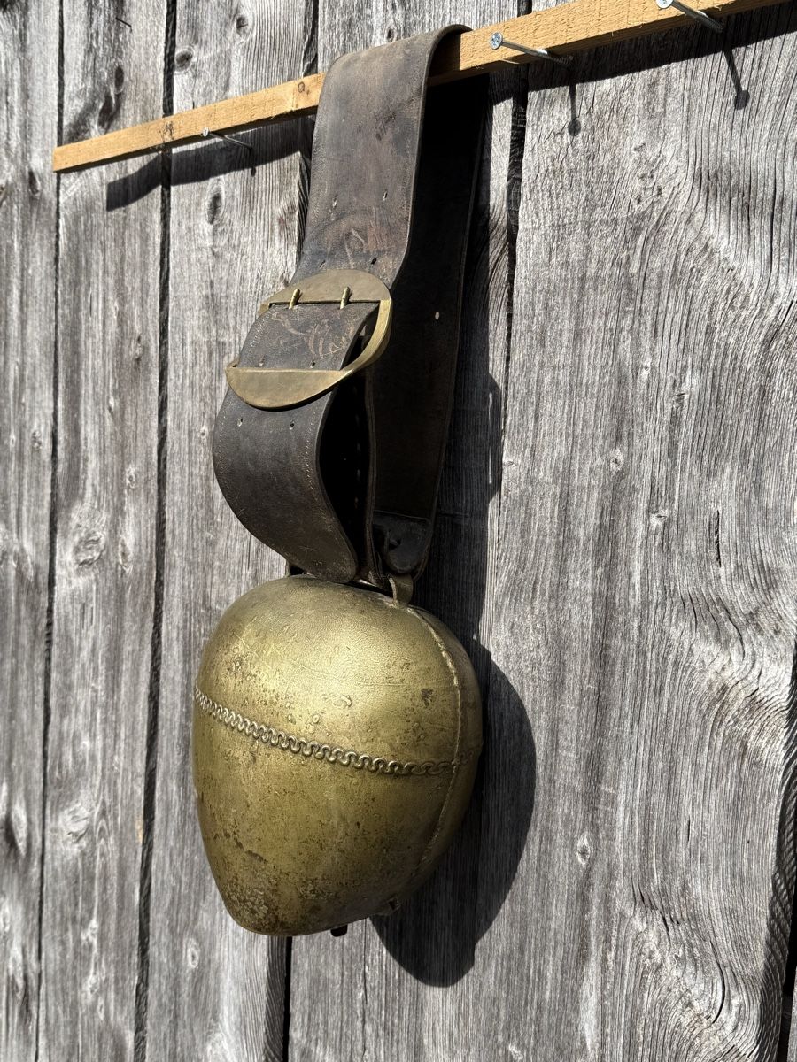 Campanacci mucche: Schöne grosse Glocke, guter Klang – Usato da Sargans venduto da fox7320 2