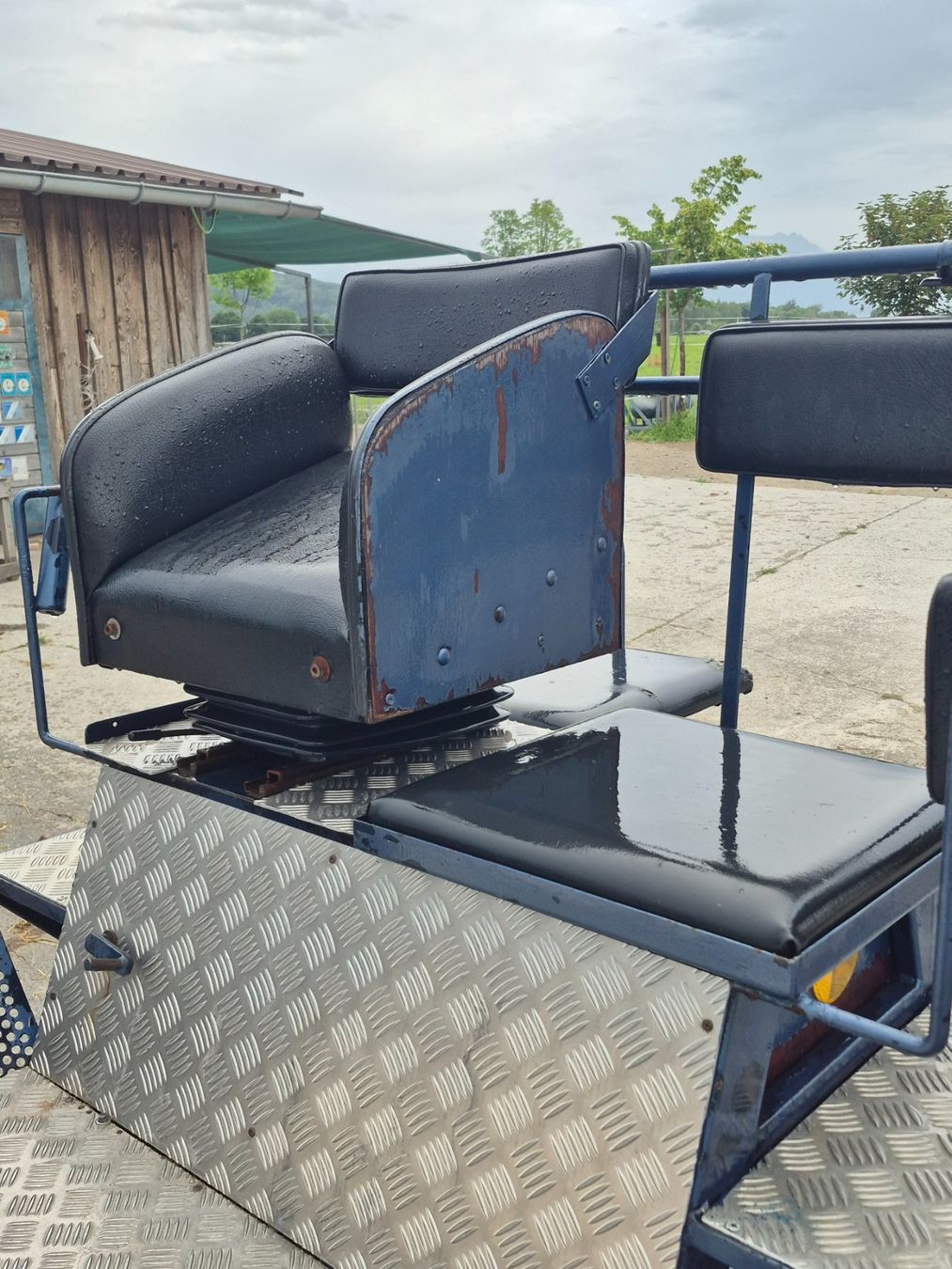 Kutschen: Marathonwagen Einspänner – Gebraucht aus Kriessern von Corso03 5