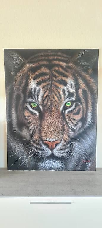 Posters & Illustrations: Tiger Bild Leinwand neuwertig – D'occasion à Cham par osm_92mh
