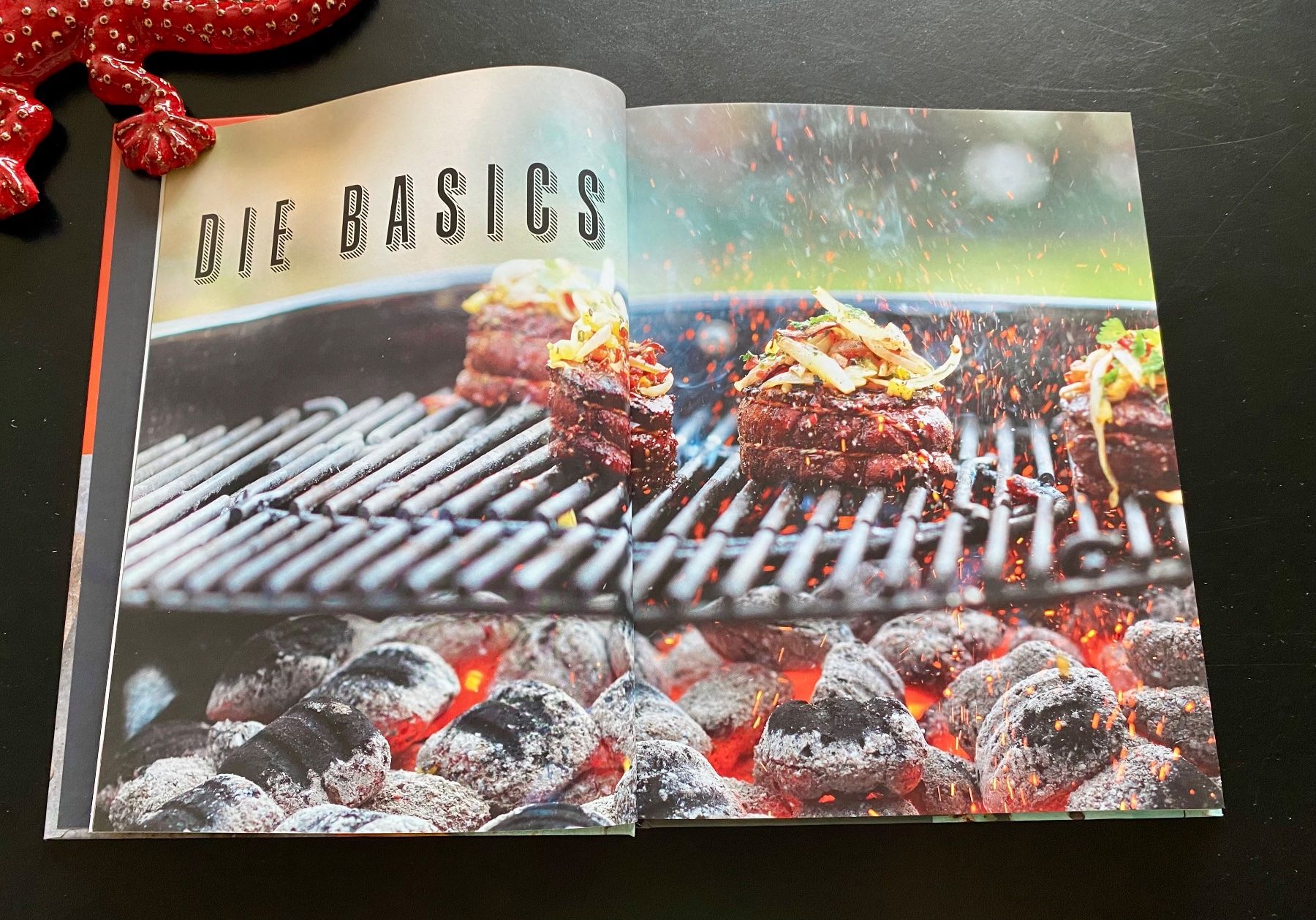 Bücher: 365 TAGE GRILLEN – Gebraucht aus Nussbaumen AG von schuba2000 2
