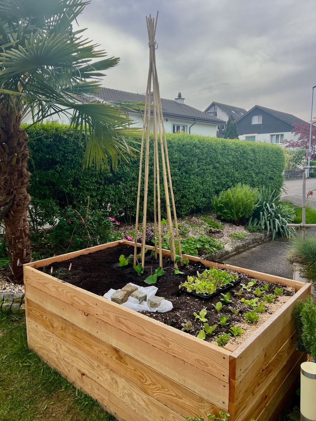 Pots de fleurs: Hochbeet Douglasie – D'occasion à Lausen par thomas_o 1