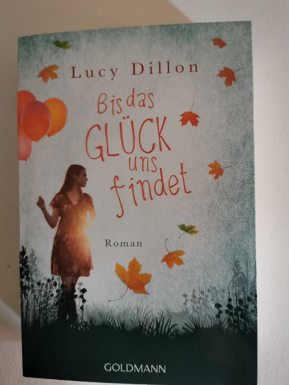 Bücher: Lucy Dillon - 6 Romane – Gebraucht aus bern von jeannie2006 4
