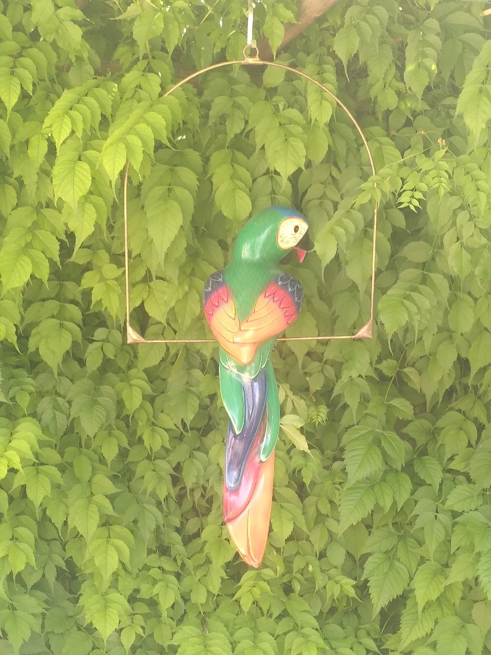 Tutte le decorazioni: Perroquet décoratif peint à la main  – Usato da Neuchâtel venduto da SyMil 1