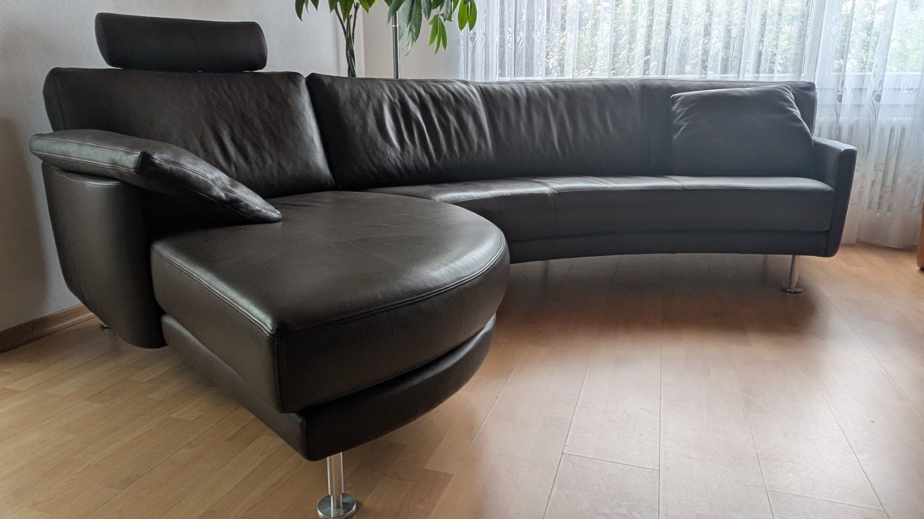 Artanova Divani: Artanova Delphi Designersofa, Leder braun, Top Zustand! – Usato da Lotzwil venduto da zip02