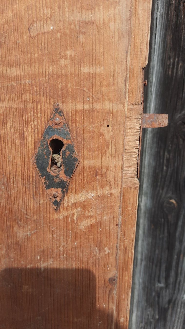 Porte: Antike, alte, gestemmte Holztür – Usato da Wattwil venduto da Parase 3