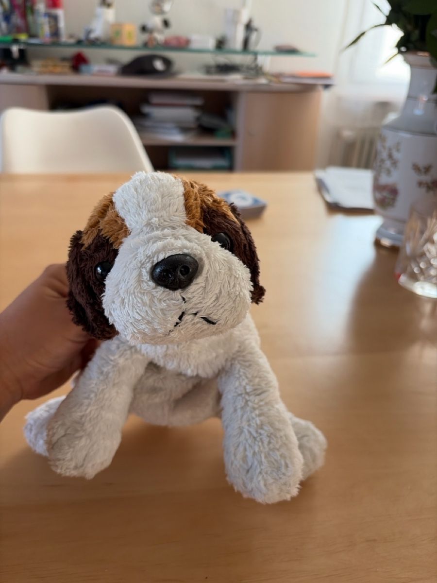 Giocattoli: Stofftier Hund klein guter Zustand – Usato da Opfershofen TG venduto da dan_nxk8 1