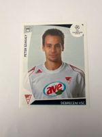 Panini UEFA Champions League 2009-2010 - Nr. 339