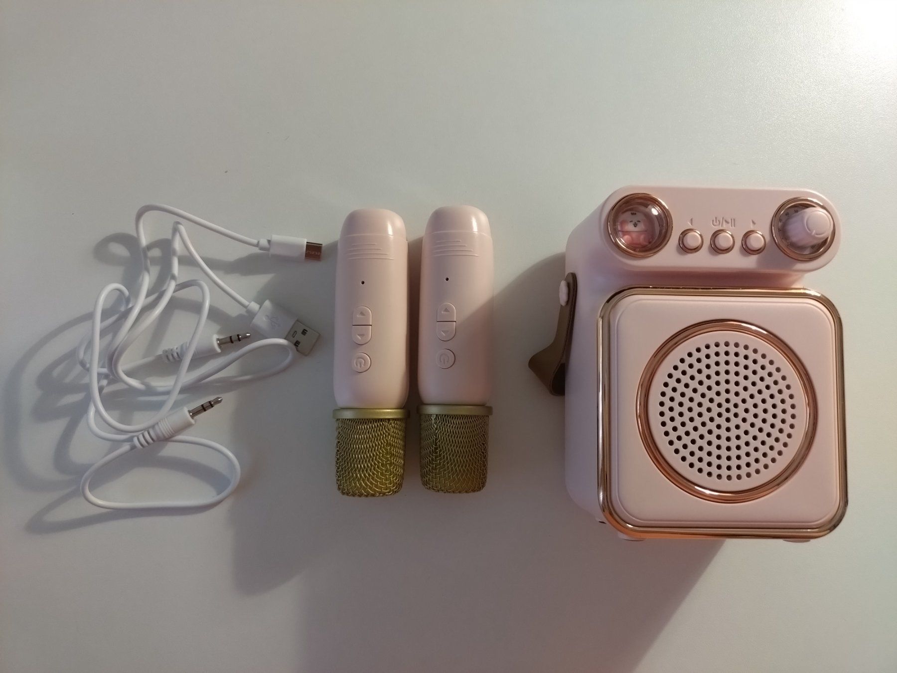 Microfoni: Wireless Karaoke Microphone & Speaker – Usato da Uerikon venduto da Teili 1