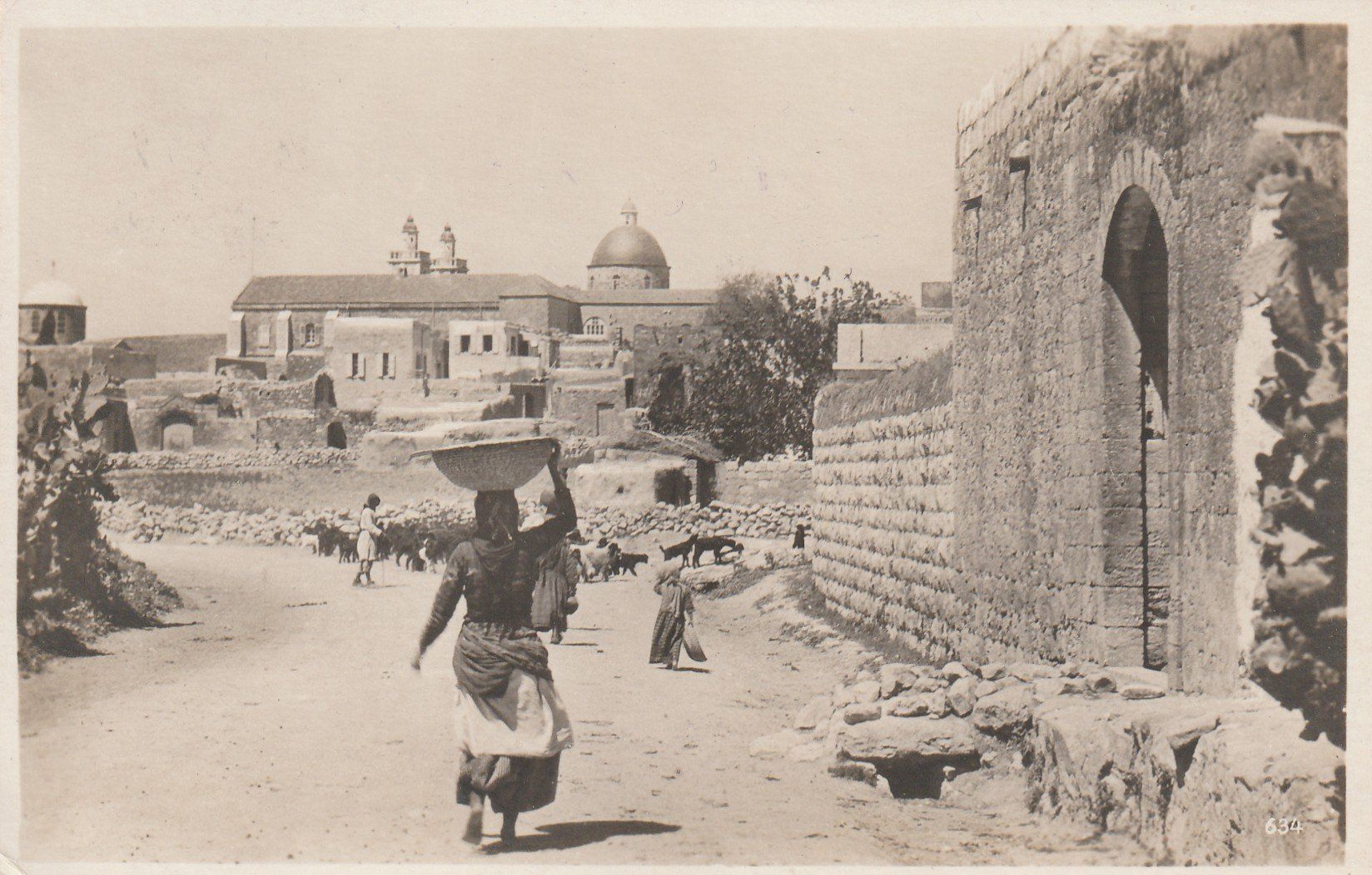 Cartes postales: Palästina Canaan – D'occasion à Rorschacherberg par fratovi2