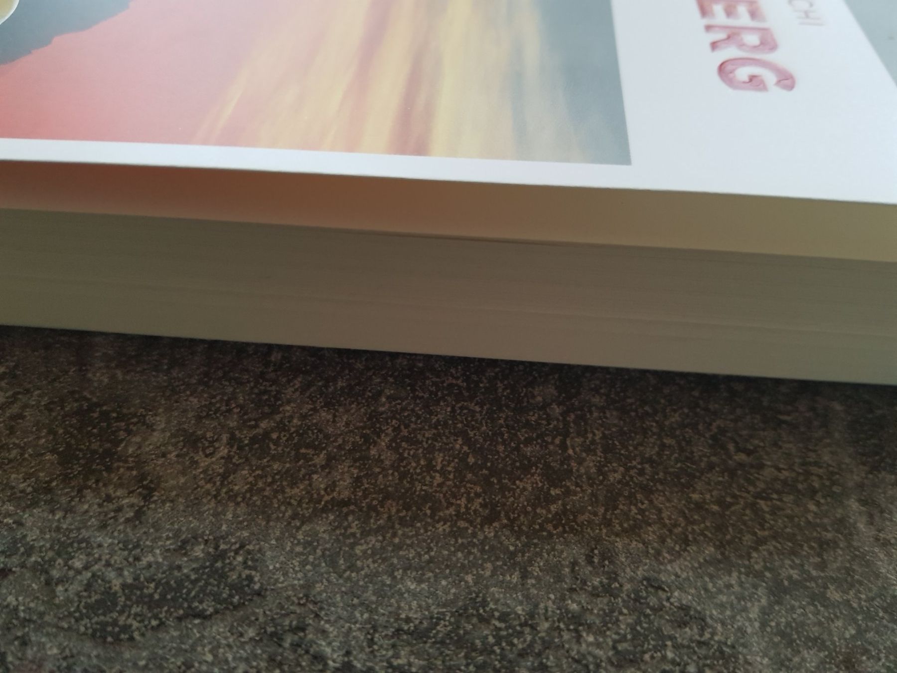 Libri: ENGELBERG / Silvia Götschi Schweizer Krimi – Usato da Dietikon venduto da marconi07 2