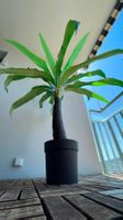 🌴 IKEA FEJKA Kunst Palme 🌴