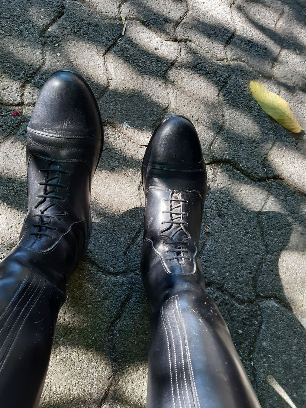 Chaussures femmes: sergio grasso reitstiefel – D'occasion à Nebikon par Haidihooo 4