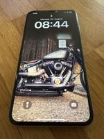 iPhone XS Max 256 GB inkl Hülle und Panzerglas privacy 
