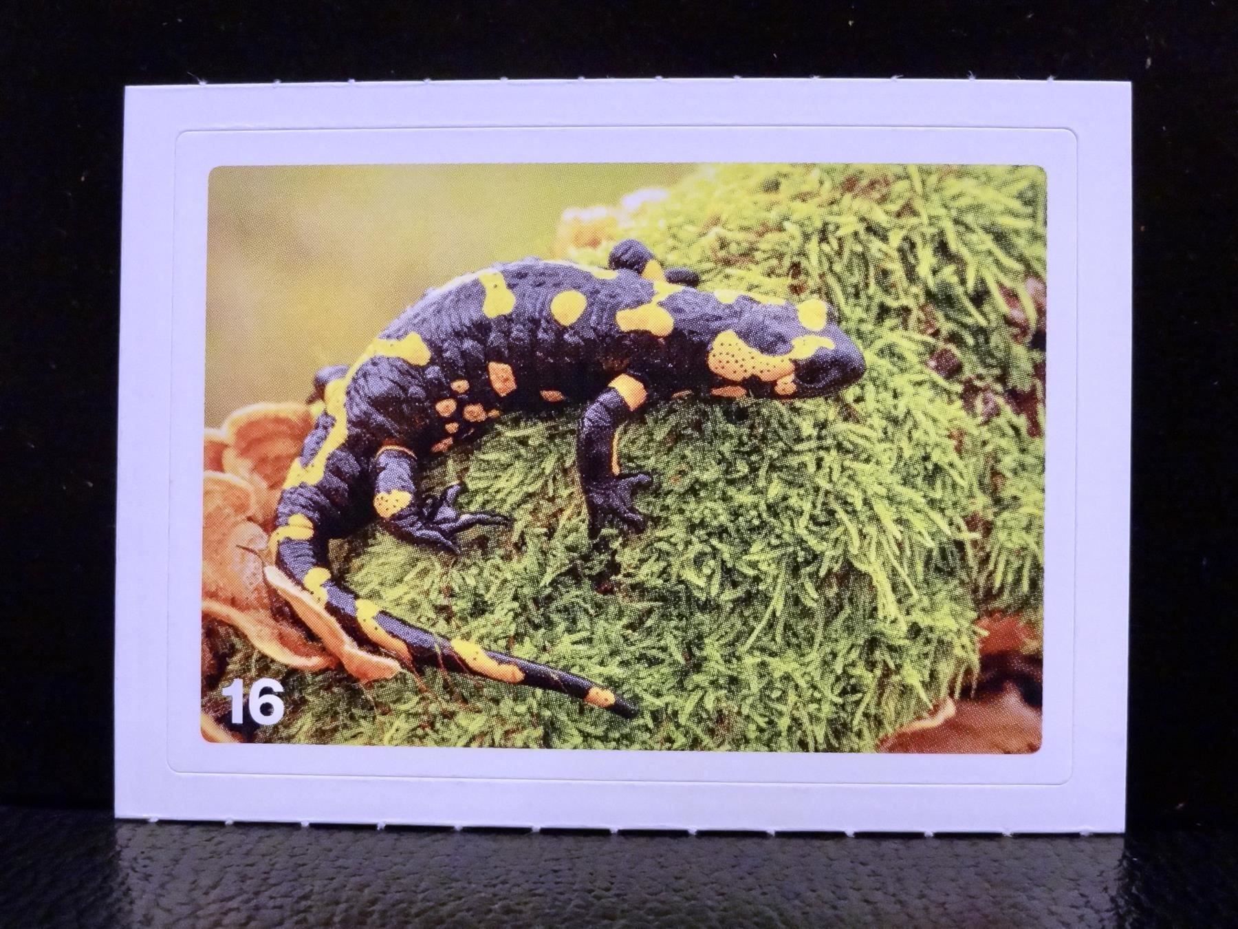 Migros Carte collezionabili: MIGROS MANIA Nature Detectives Nr. 16 – Nuovo e nell'imballaggio originale da Kerzers venduto da zimmergruen