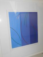 Sammlung Verkauf - Kunst Serigraphie v Müller - Tosa Heinz