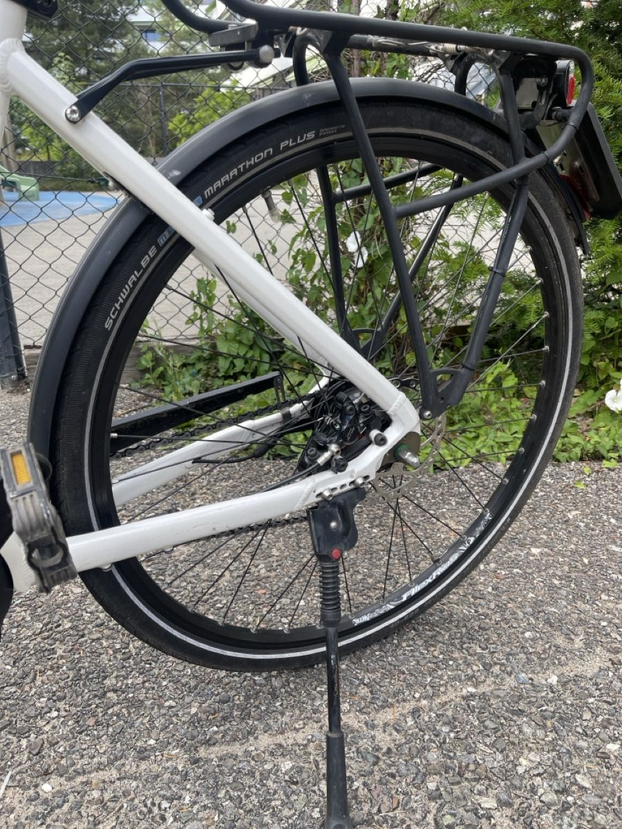 Flyer Biciclette: m-Way Flyer 15 TS 7.60 HS TM Bosch – Usato da Basel venduto da marica-bs 4