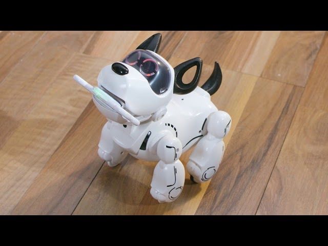 Spiele: Robot interactif chien – Gebraucht aus Onex von BabyBab 2